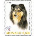2012 INTERNATIONAL DOG SHOW