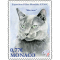 2012 INTERNATIONAL CAT SHOW