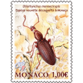 THE MONEGASQUE WEEVIL THE MONEGASQUE WEEVIL