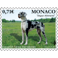 EXPOSITION CANINE INTERNATIONALE 2017 EXPOSITION CANINE INTERNATIONALE 2017