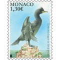 LES ESPÈCES PATRIMONIALES : LE CORMORAN HUPPÉ DE MÉDITERRANÉE LES ESPÈCES PATRIMONIALES : LE CORMORAN HUPPÉ DE MÉDITERRANÉE