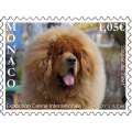 EXPOSITION CANINE INTERNATIONALE 2019 EXPOSITION CANINE INTERNATIONALE 2019