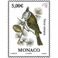 Parus Cristatus