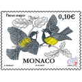 Parus Major Parus Major