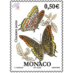 Charaxes Jasius