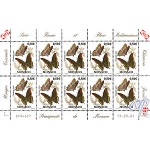 Charaxes Jasius