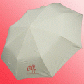 Automatic umbrella