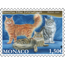 INTERNATIONAL CAT SHOW 2021