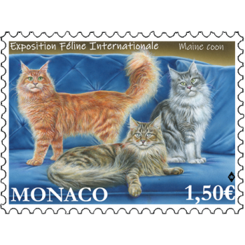 INTERNATIONAL CAT SHOW 2021