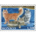 INTERNATIONAL CAT SHOW 2021