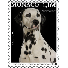 INTERNATIONAL DOG SHOW 2022