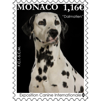 INTERNATIONAL DOG SHOW 2022