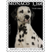 INTERNATIONAL DOG SHOW 2022