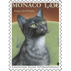 INTERNATIONAL CAT SHOW 2022
