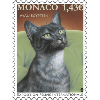 INTERNATIONAL CAT SHOW 2022