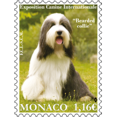 INTERNATIONAL DOG SHOW 2023
