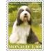 INTERNATIONAL DOG SHOW 2023