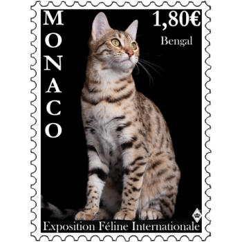 INTERNATIONAL CAT SHOW 2023
