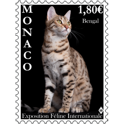 INTERNATIONAL CAT SHOW 2023