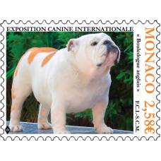 EXPOSITION CANINE INTERNATIONALE 2024