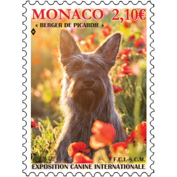 EXPOSITION CANINE INTERNATIONALE 2025