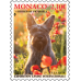 EXPOSITION CANINE INTERNATIONALE 2025