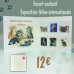 ENCART EXCLUSIF - LES CHATS - 2026 - NOUVELLE VERSION