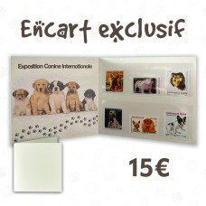 ENCART EXCLUSIF - LES CHIENS