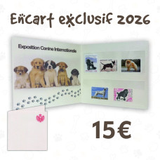 ENCART EXCLUSIF - LES CHIENS - 2026