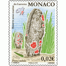 SUBMARINE RESERVE OF LARVOTTO